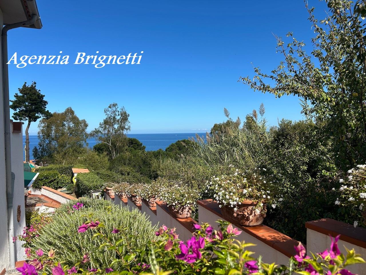 appartamento in offerta Isola d'Elba